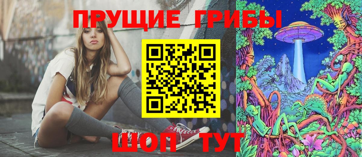 Галлюциногенные грибы Psilocybine cubensis Рубцовск