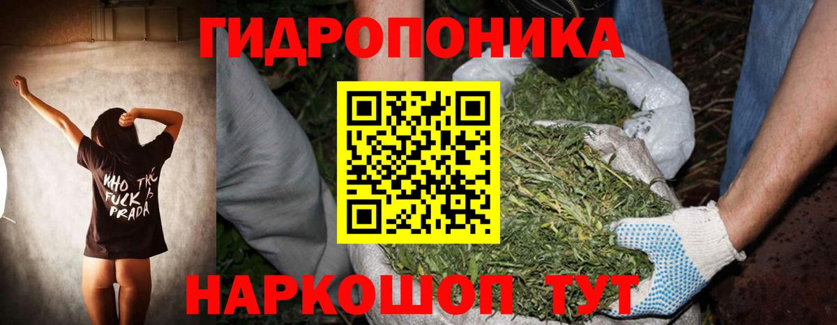 Рубцовск  Шишки марихуана план  Вход с VPN  Каннабис марихуана 
